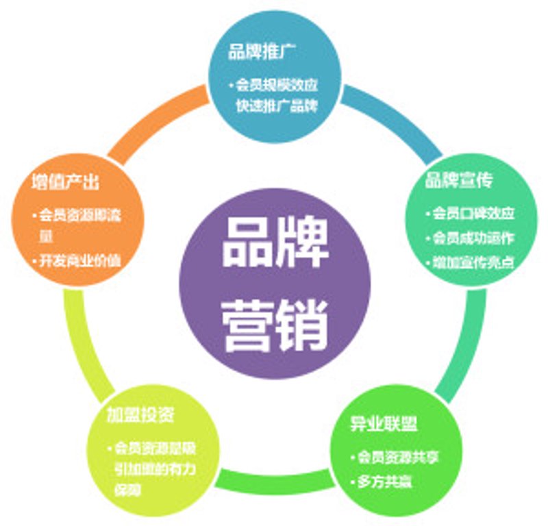 品牌推广：案例解读与策略分析